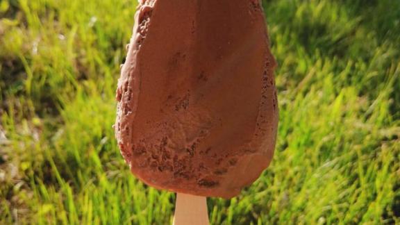 Кишечную палочку нашли в мороженом из Пятигорска