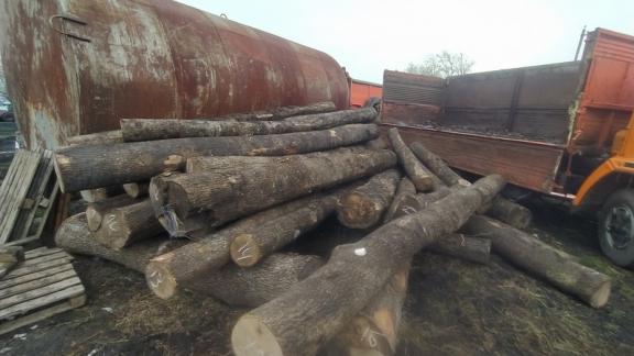На Ставрополье более миллиона рублей заплатит гражданин за незаконную рубку деревьев