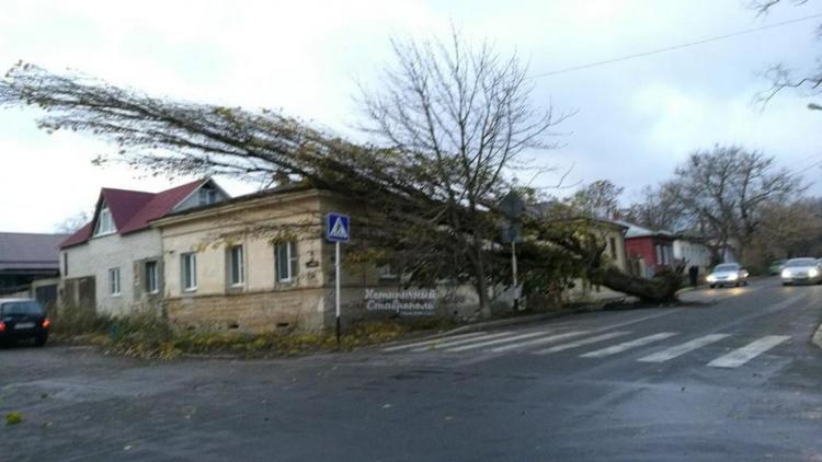 Последствия сильного ветра в Ставрополе