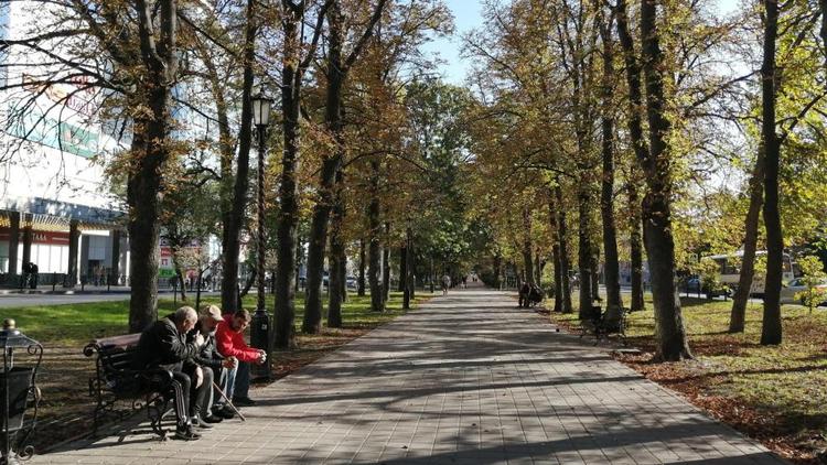 В Ставрополе на бульваре Ермолова весной посадят новые саженцы