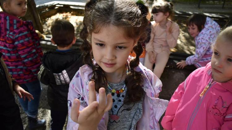 На базе Кисловодской станции юннатов занимаются более 700 детей