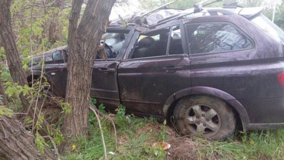 В Ставрополе 80-летний водитель врезался в дерево