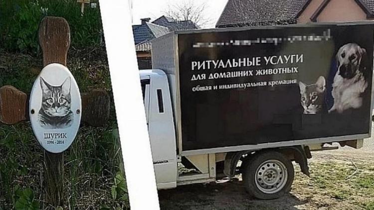Клиентка единственного на Ставрополье крематория для животных устроила кошачий колумбарий в квартире