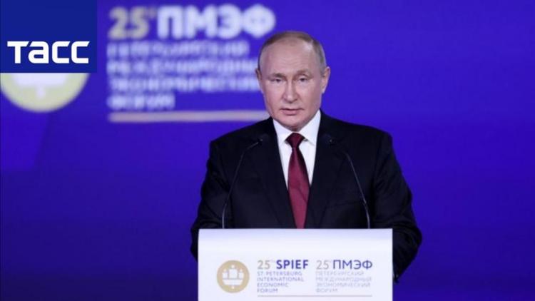 Владимир Путин: Россия способна увеличить поставки продовольствия на мировой рынок
