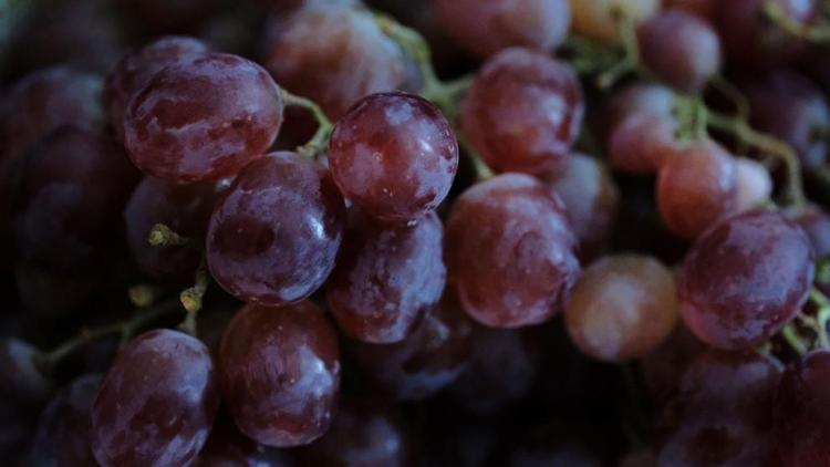 В Ставропольском крае собрано уже 42 тысячи тонн винограда