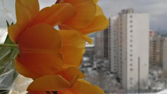 В воскресенье на Ставрополье потеплеет до плюс 19 градусов