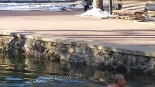 В Кисловодске горожан удивил морж в «Зеркальном пруду»