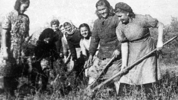 Послевоенное возрождение сельского хозяйства Ставрополья