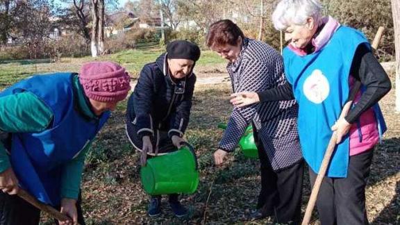 На Ставрополье «серебряные» волонтёры участвуют в акциях по озеленению городов и сёл