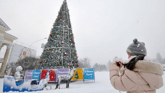 Главную елку края зажгут в Ставрополе 21 декабря