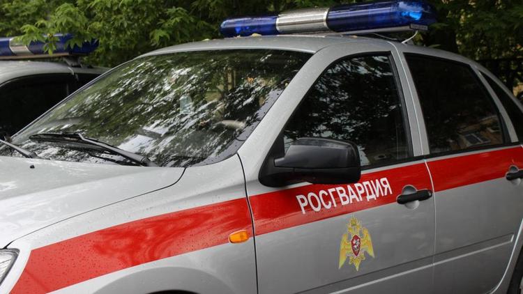 Росгвардейцы в Михайловске предотвратили ограбление магазина