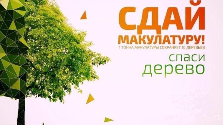Ставропольцев приглашают на эко-марафон «Сдай макулатуру – спаси дерево»