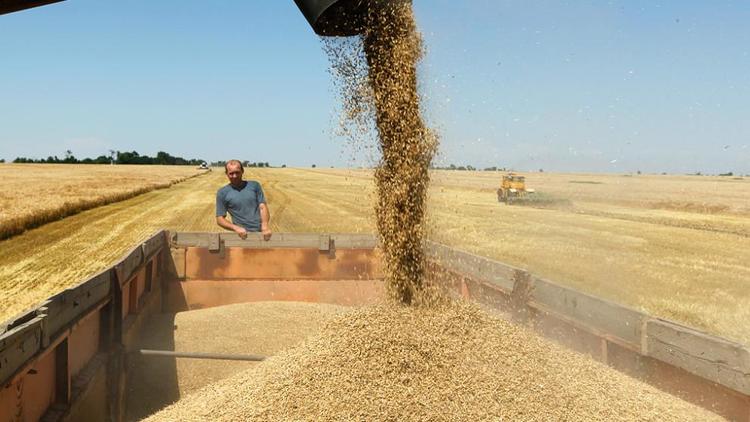 Рекордный урожай зерна собрал колхоз-племзавод «Казьминский» в 2018 году