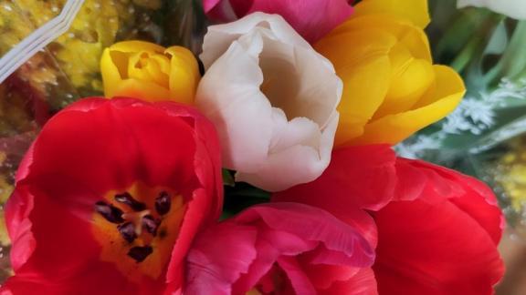 Ставропольские артисты завоевали высший кубок на всероссийском фестивале