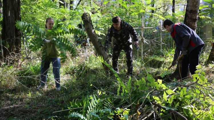 Губернатор Владимиров: Ставрополье присоединилось к акции «Экосистема. Марафон зелёных дел»