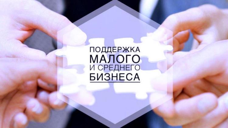 В Ставрополе окажут поддержку предпринимателям приоритетных сфер деятельности