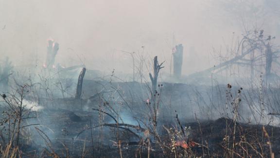 Ландшафтный пожар едва не уничтожил станицу Подгорную Шпаковского района