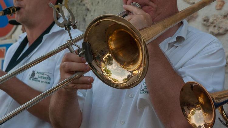 В Ипатовском округе Ставрополья похитили два тромбона из школы