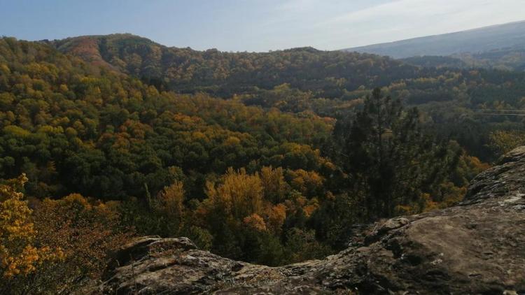 Кисловодск вошёл в тройку самых популярных направлений для отдыха в горах