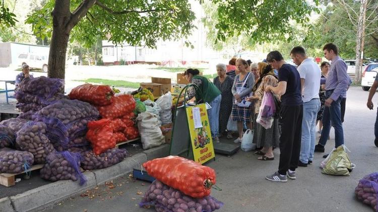 Овощи с доставкой можно купить в Ессентуках