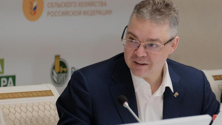 Эксперт: Внимание губернатора к развитию детей – серьезный задел для будущего развития Ставрополья