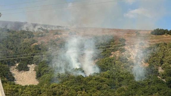 Пожар на горе Верблюд в Ставропольском крае локализован