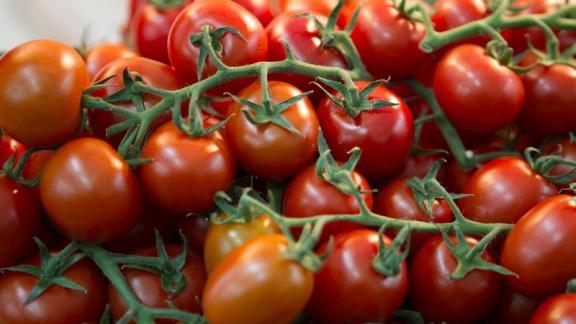 Ставрополье вышло в лидеры по производству томатов в России