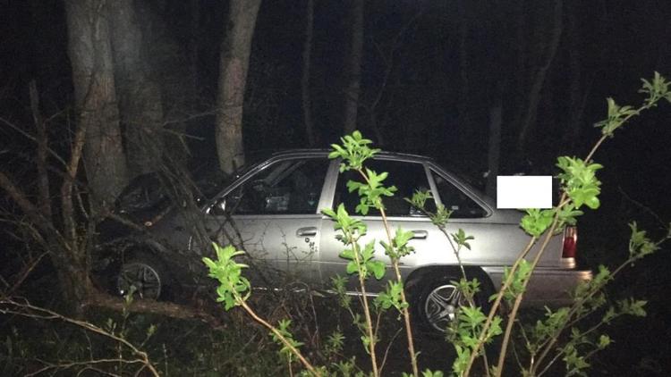В Ставропольском крае автоледи на высокой скорости врезалась в дерево