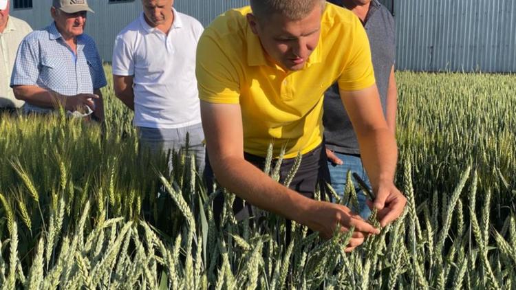 В Новоалександровском округе прошёл объезд хлебных полей 