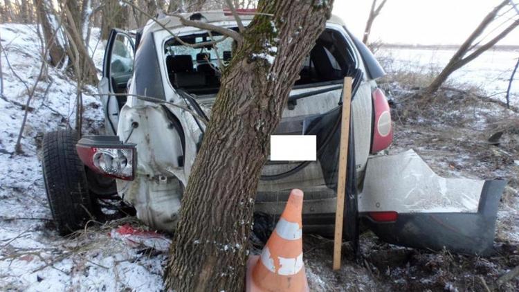Девушка на «Chevrolet» врезалась в дерево в Курском районе