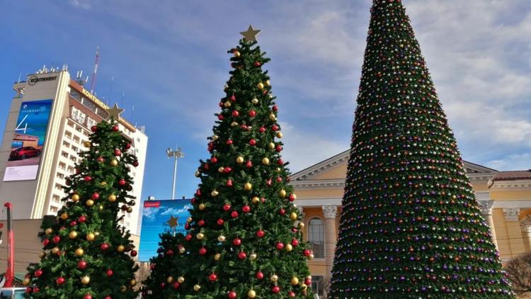 Ёлки на главной площади Ставрополя украсили к Новому году
