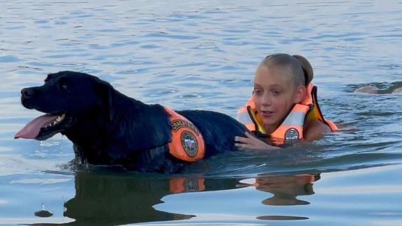 В Будённовском округе Ставрополья прошёл мастер-класс с участием собак-спасателей на воде