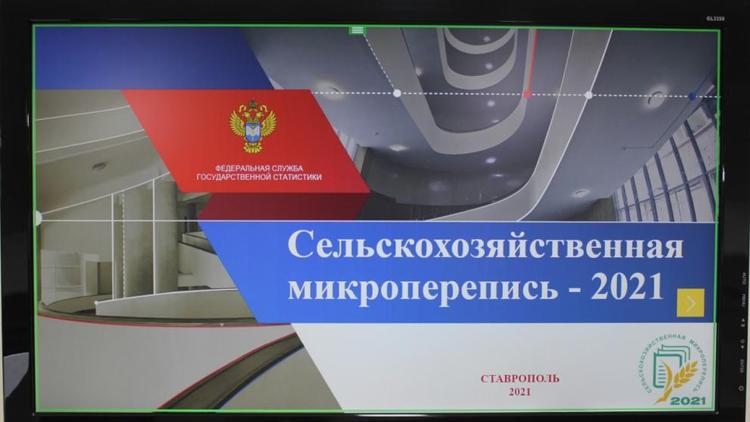 На Ставрополье создана комиссия по проведению аграрной микропереписи