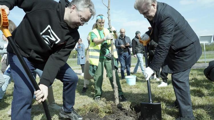 Губернатор Ставрополья и звёзды эстрады высадили «Сад памяти»