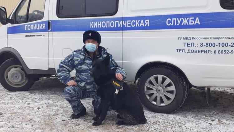 В Ставрополе служебная собака помогла найти похищенный алкоголь