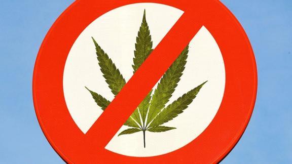 Более 70 граммов марихуаны изъяли невинномысские полицейские у двух местных жителей