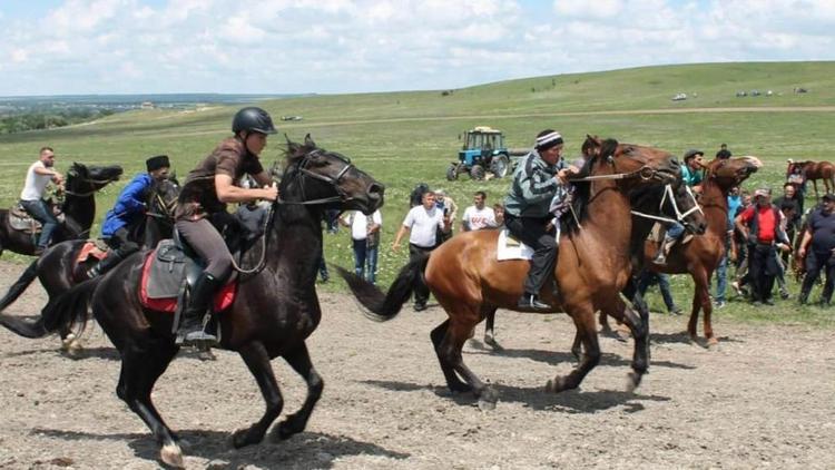 На Ставрополье в станице Суворовской 58 всадников выступили на конном празднике