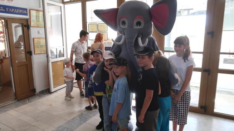 Ставропольцев приглашают отметить День рождения слона
