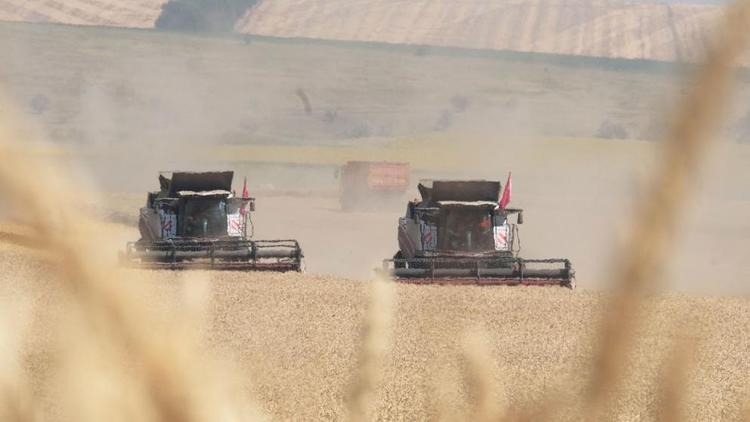Более 60 процентов зерновых убрали в Минераловодском округе Ставрополья