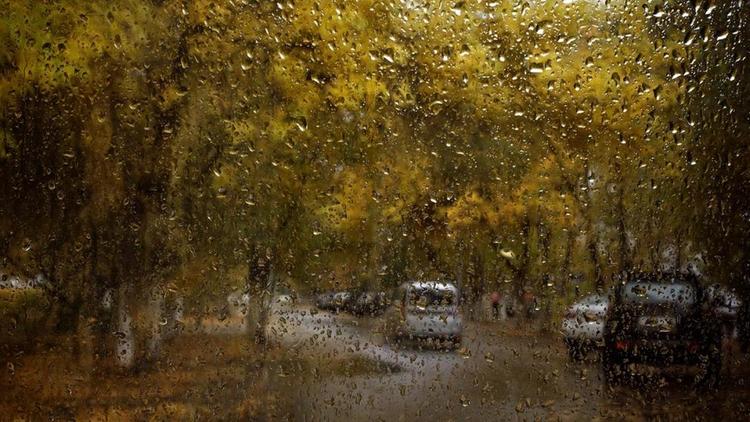 В последнюю субботу октября на Ставрополье ожидаются дожди