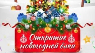 Главную ёлку Прикумья откроют в Будённовске 16 декабря