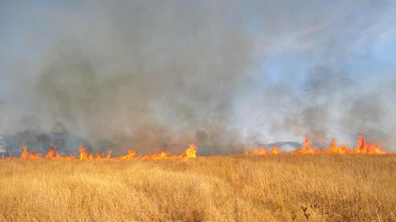 50 соток пшеничного поля уничтожено огнем в селе Летняя Ставка