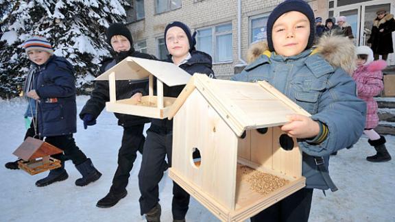 Каждой пичужке – кормушка! В Ставрополе спасают птиц от мороза и голода