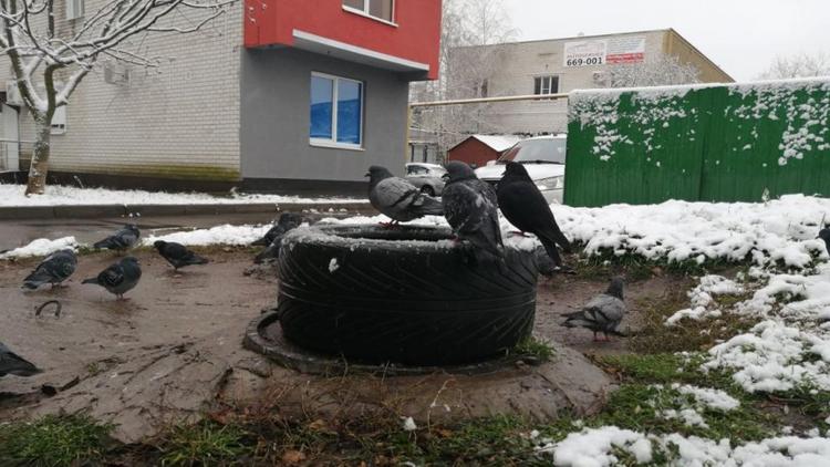 Ухудшение погоды и снегопад ожидаются на Ставрополье