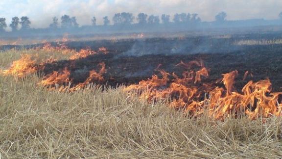 За выходные ставропольские пожарные потушили три крупных пожара на полях