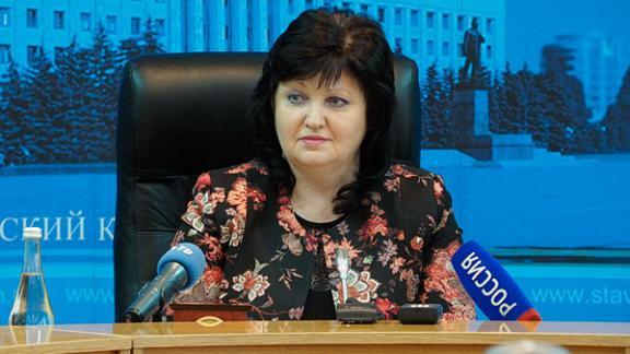 Министр культуры Ставрополья провела итоговый брифинг в правительстве края
