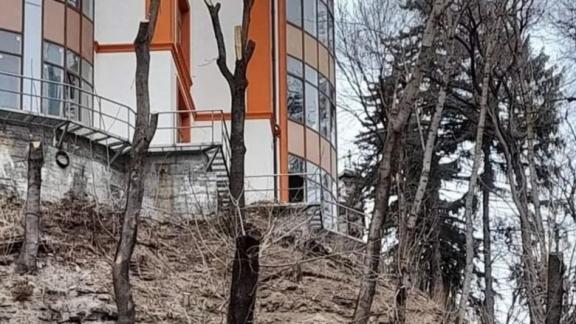 Ситуацию с вырубкой деревьев прокомментировали в Кисловодске