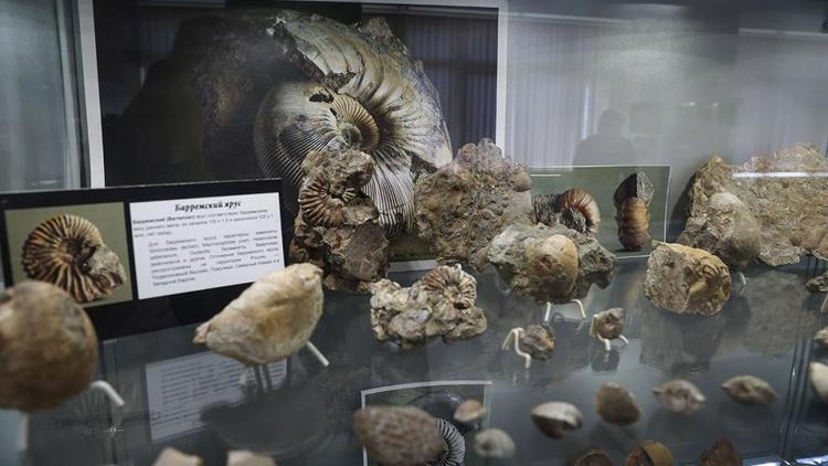 Новые факты о Сарматском море раскрыли учёные СКФУ