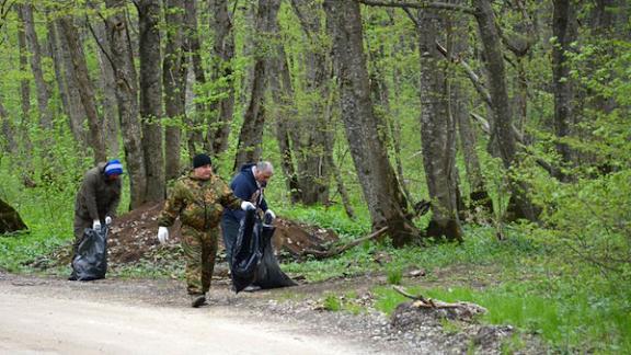 Более 52 тысяч человек приняли участие в экологическом субботнике в Ставропольском крае