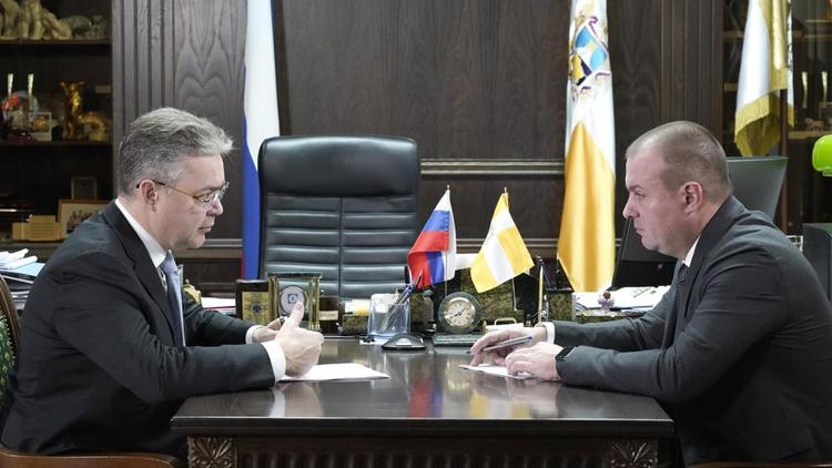 Владимир Владимиров провёл рабочую встречу с министром экономического развития края